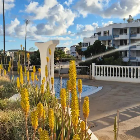 Relax Flat Palm View San Miguel de Abona