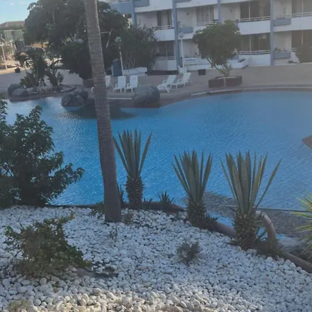 Relax Flat Palm View