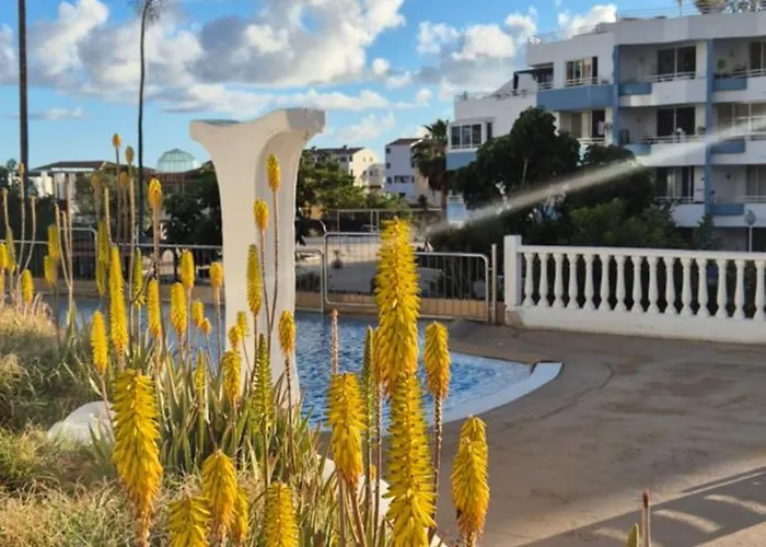 Relax Flat Palm View San Miguel de Abona